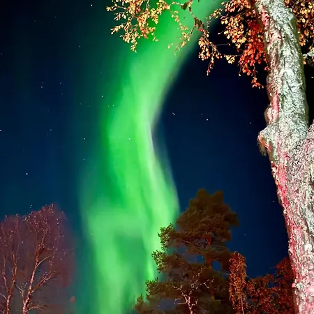 Levin Lumienkeli B3 * Levi