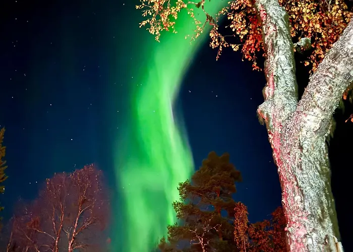 Levin Lumienkeli B3 * Levi